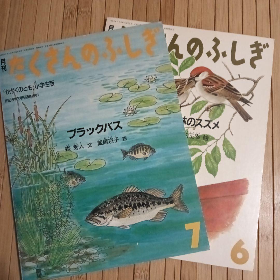 お値下げ！【たくさんのふしぎ】33冊＋希少！見本誌