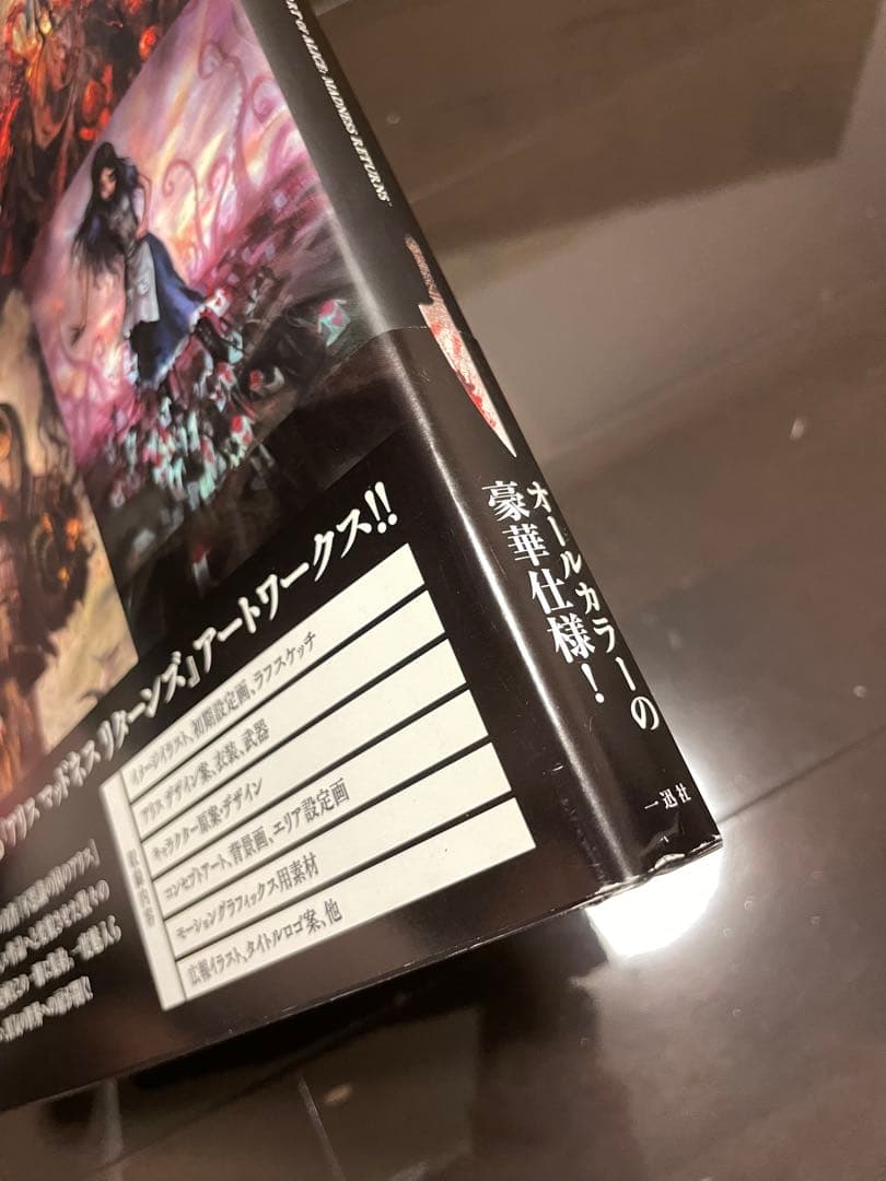 【初版】アートオブアリスマッドネスリターンズ　設定画集　日本語版