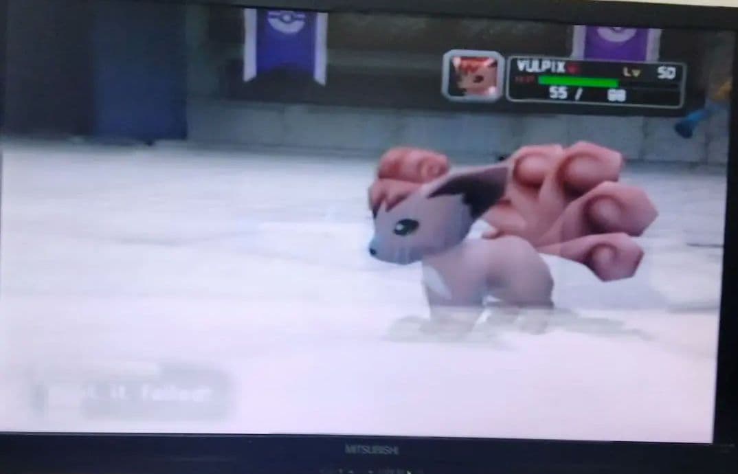 北米 ポケモンコロシアム 海外版 正規品 Pokemon Colosseum