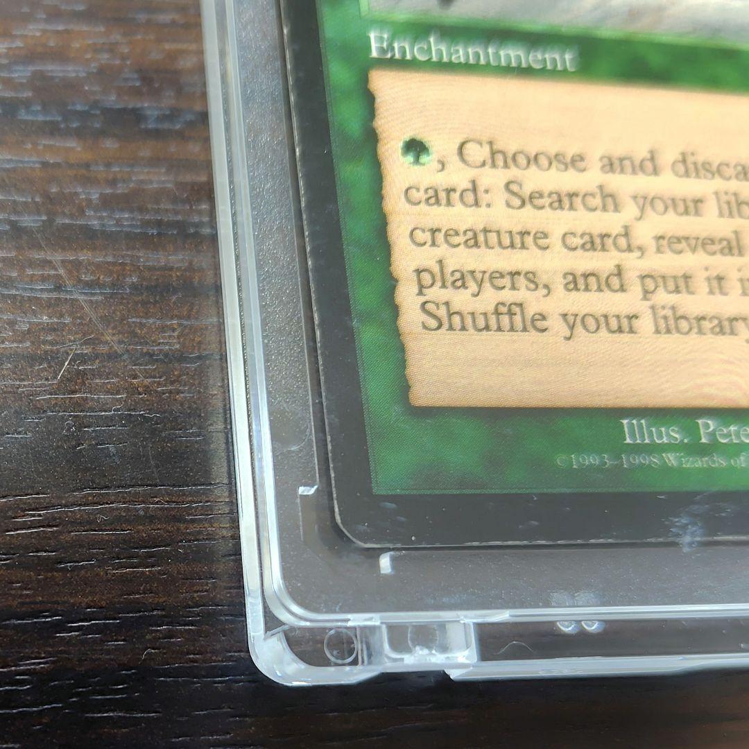 適者生生存　MagicTheGathering　 英語版