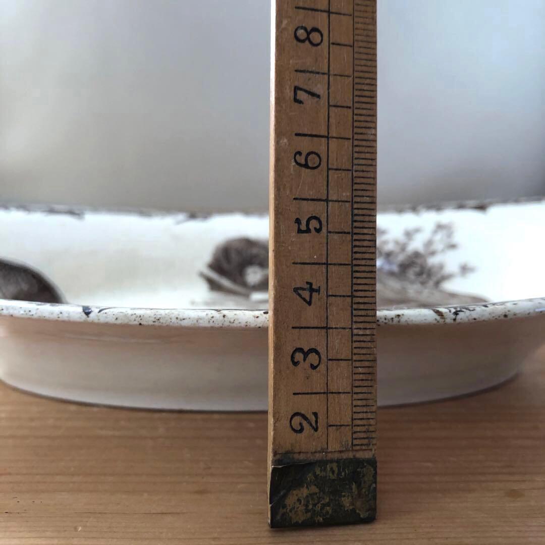 ショワジールロア Choisy le Roi HB&Cie　楕円皿　no.249