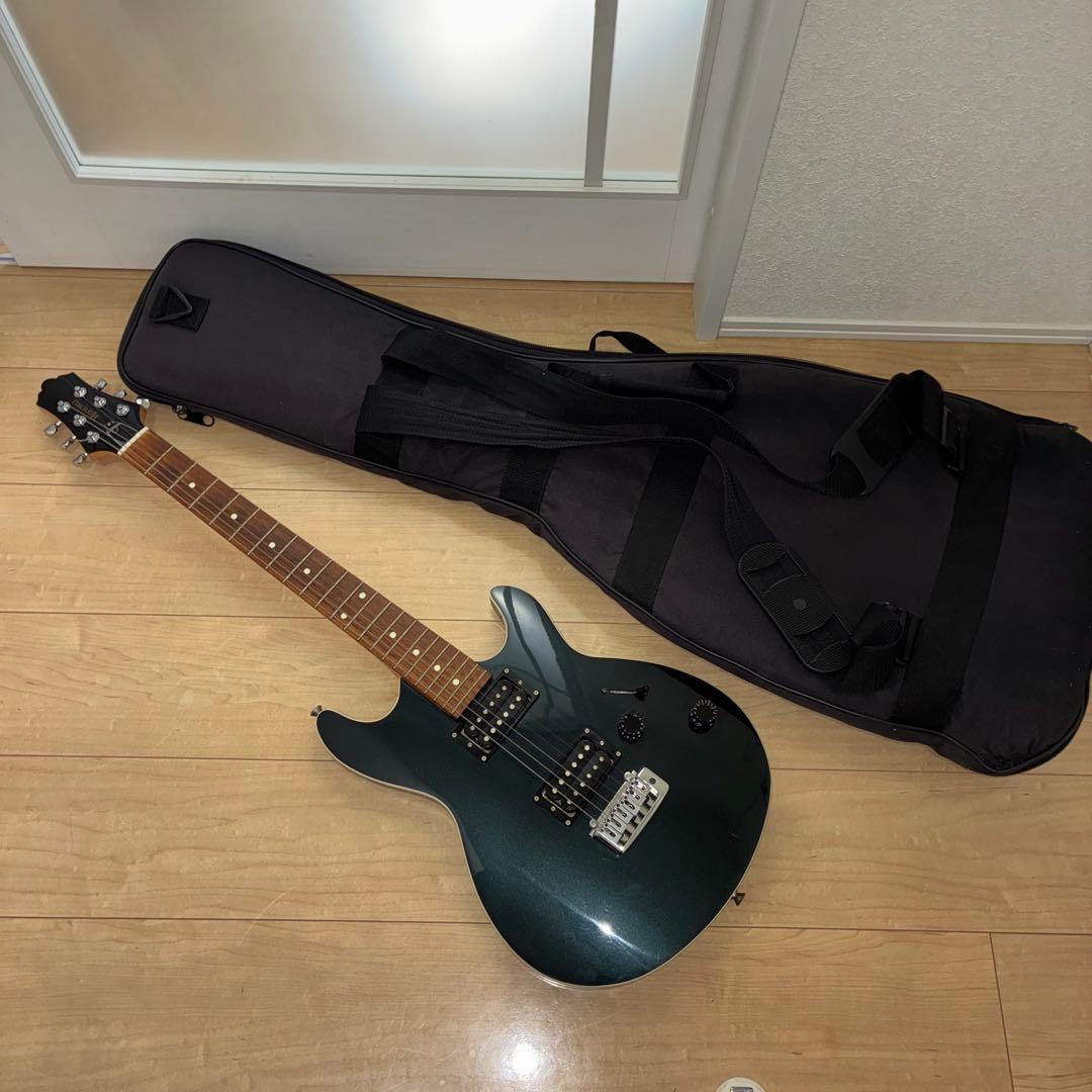 超希少　History(フジゲン) ZGF CFS 富士弦製　日本製