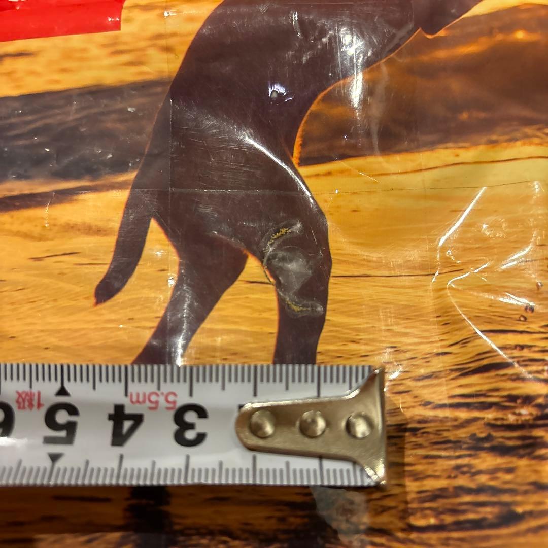 値下げ！訳あり！オリジン　パピー　ドッグフード 11.4kg アカナOrijen