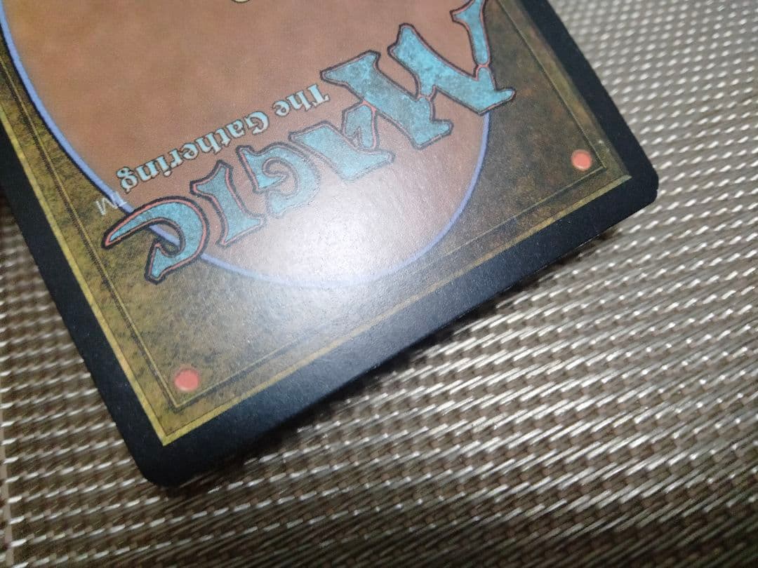 【ご確認用】エルドラージ覚醒 foil 蜘蛛の陰影b 英語 1枚　MTG