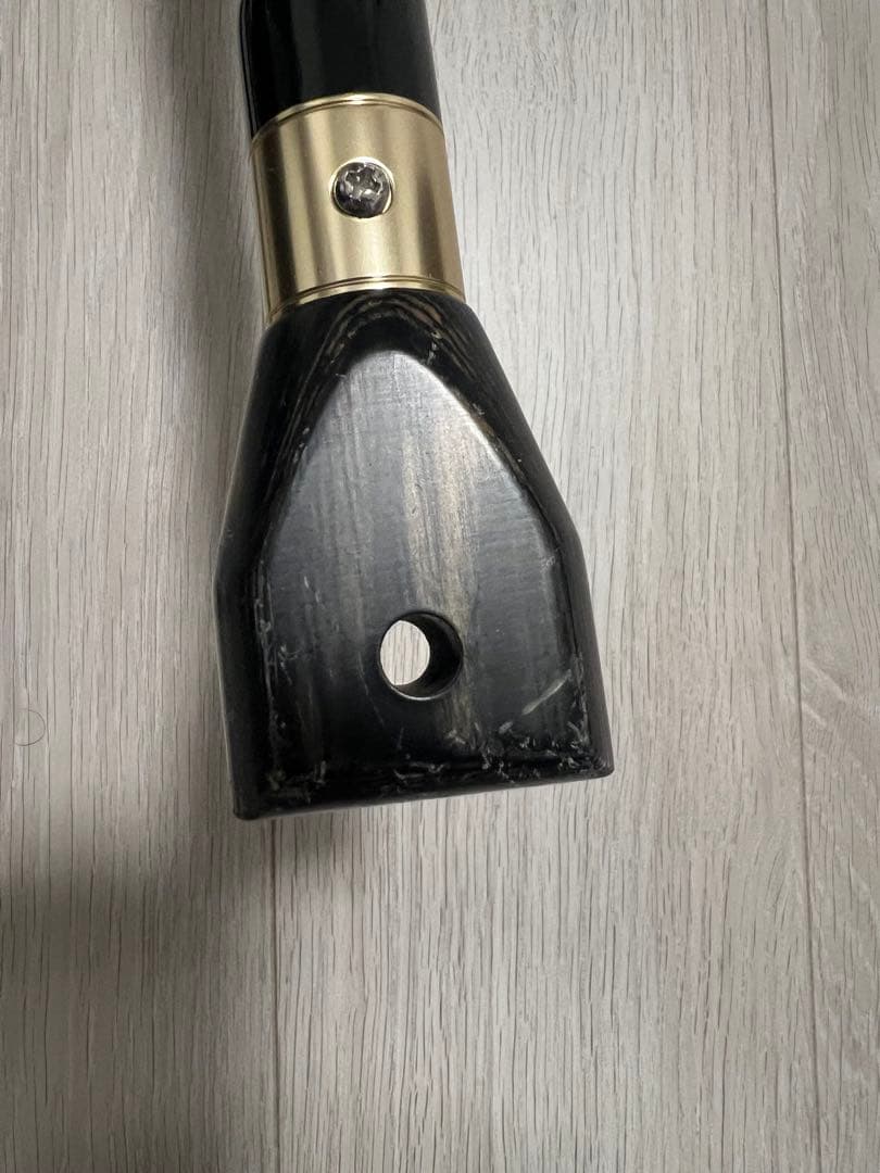 がま石　レギス3 遠投　540