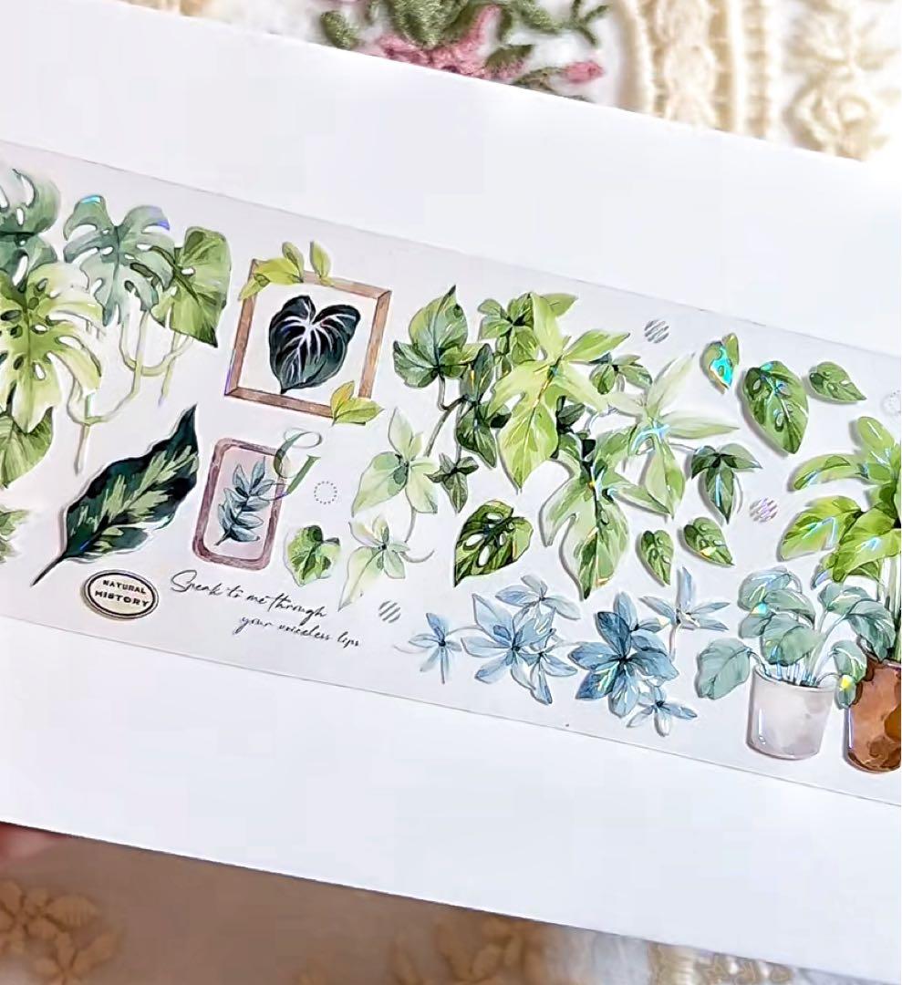 【9467】海外　マステ　3/5/巻　貝殻光マスキングテープ　植物　緑　装飾系