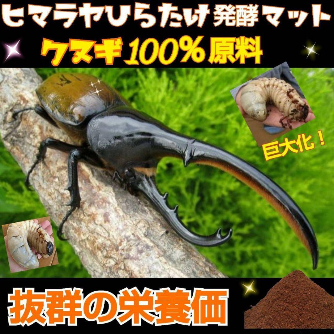 カブトムシ幼虫の餌、産卵にはコレです！改良版！発酵マット50L☆大きくなります！