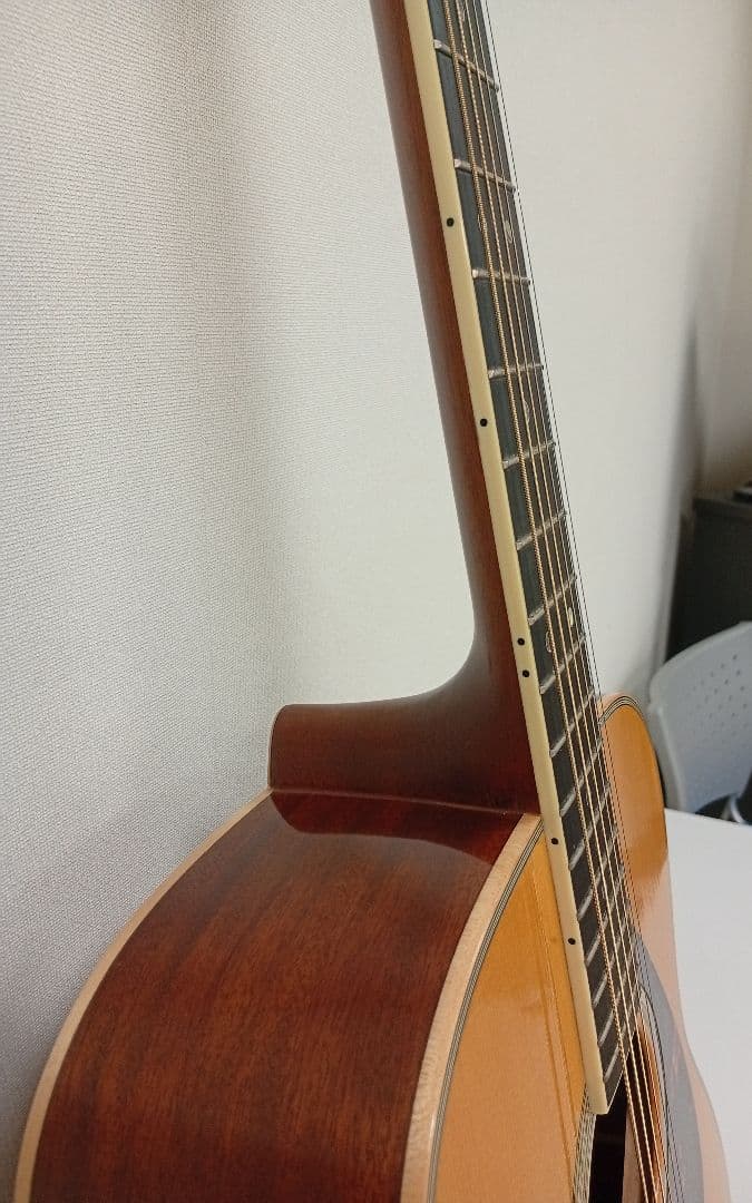 YAMAHA ヤマハ LS16M ARE 純正ソフトケースつきます