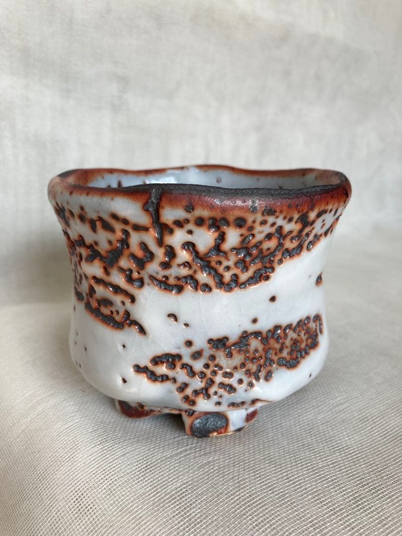 木戸貞昭／赤志野茶碗／B15