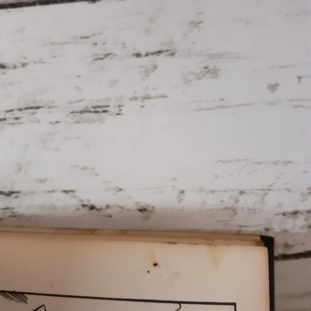 人喰い少女　まちだ昌之　ひばりコミックス