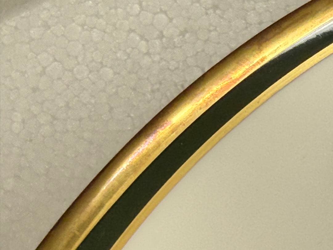 T13 フランクリン•ポーセリン「世界の鳴鳥」シリーズプレート皿 10枚 中古品