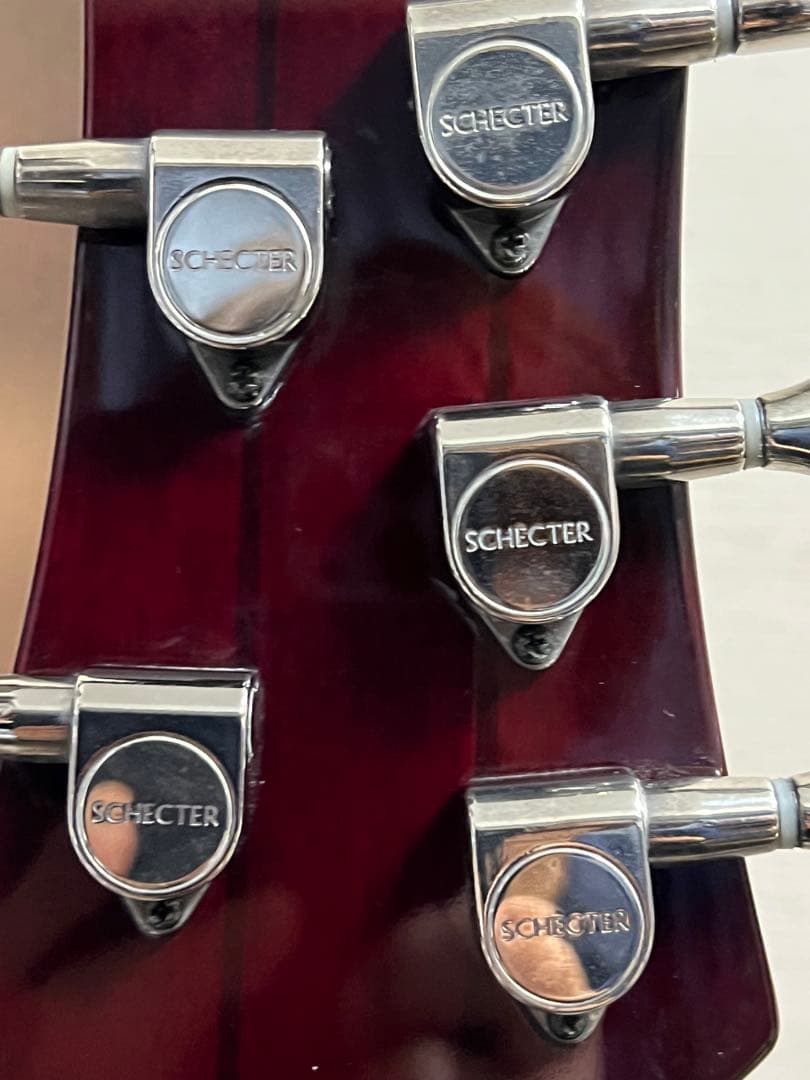 即発送 SCHECTER HELLRAISER-5 5弦ベース 調整済み