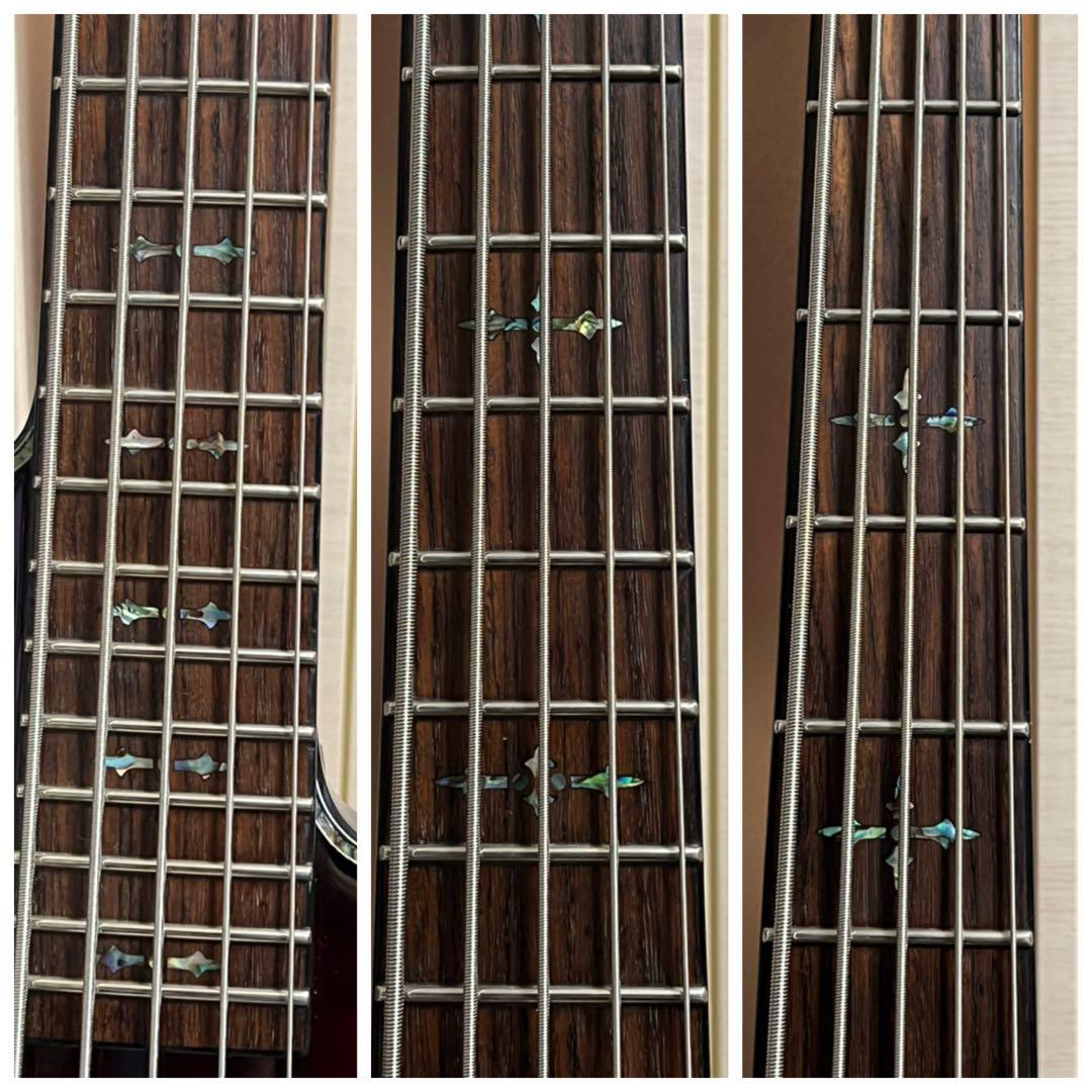 即発送 SCHECTER HELLRAISER-5 5弦ベース 調整済み