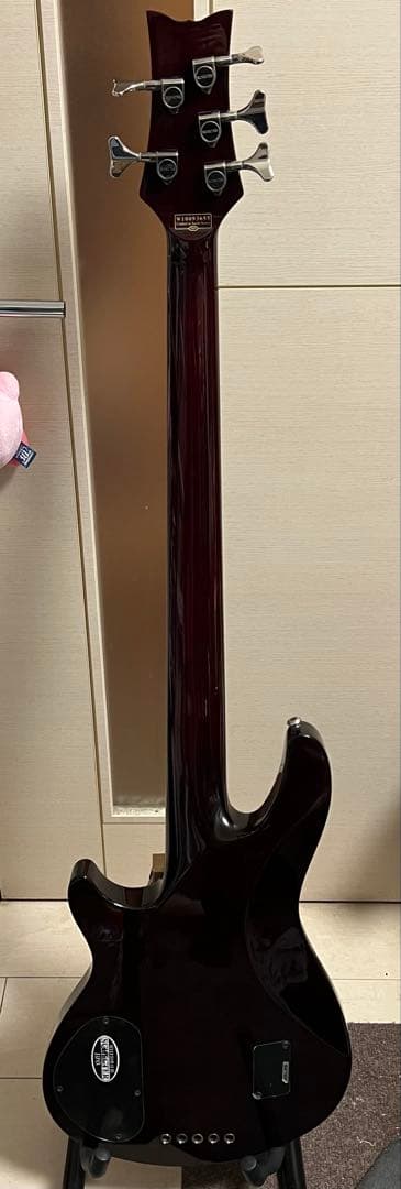即発送 SCHECTER HELLRAISER-5 5弦ベース 調整済み