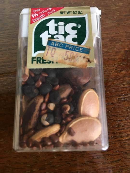 マッチ箱、バイオリン、種