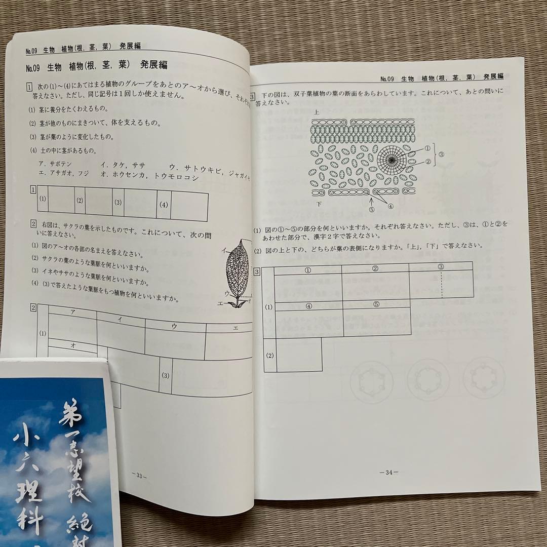 希学園 小6 理科スペシャルプリント