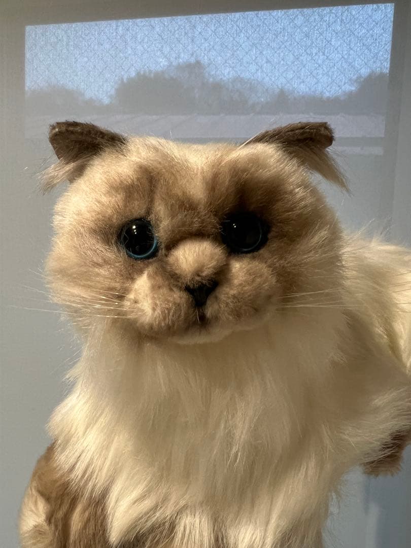 新品未使用　なでなでねこちゃん　EX ヒマラヤン　ぬいぐるみ　猫