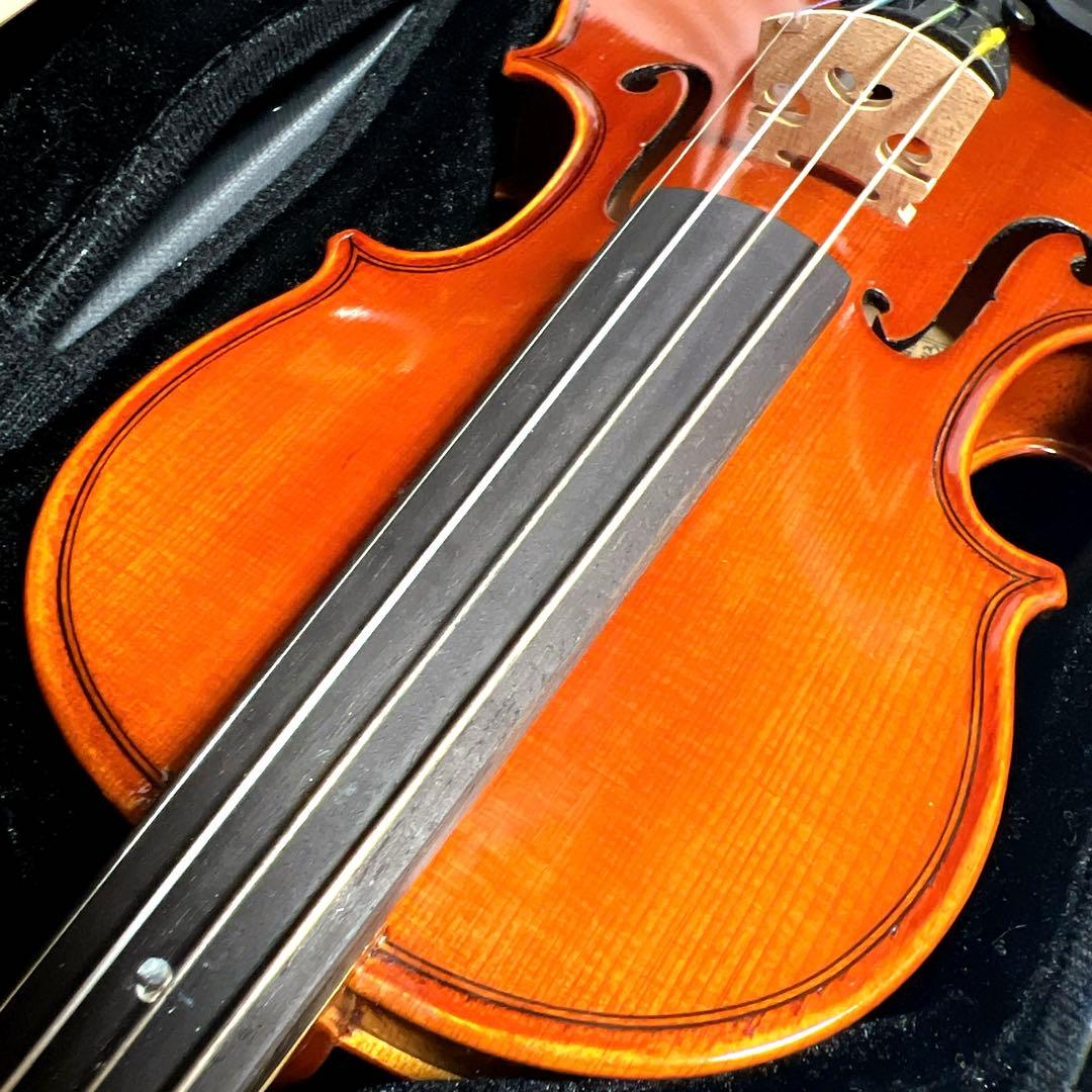 【美品】Andreas Eastman VL80 1/10 イーストマン