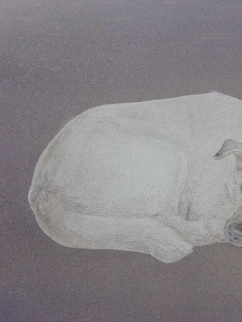 楚里清、【凛】、希少な額装用画集より、新品額装付、状態良好