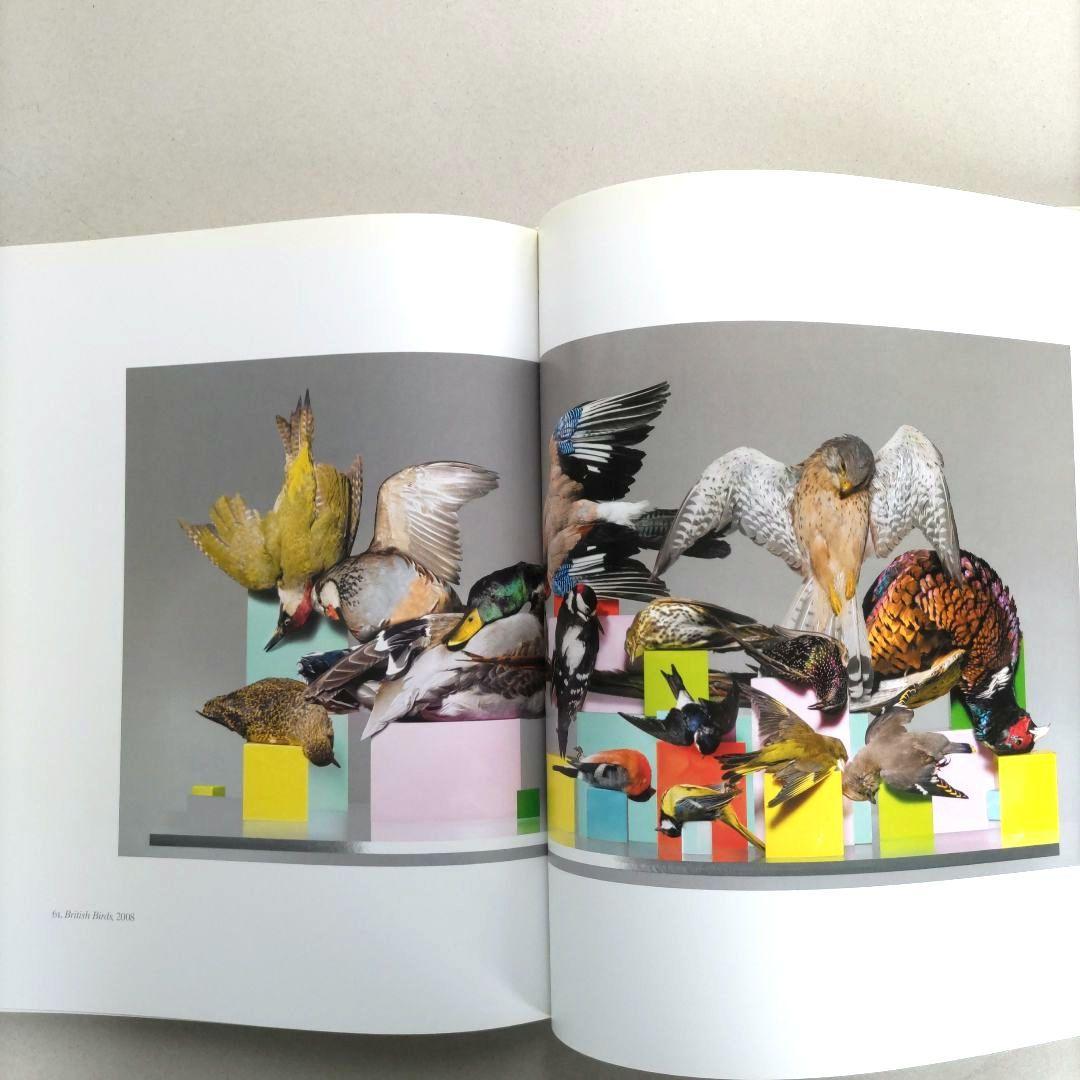 Nick Knight/ニック・ナイト 写真集 作品集 アートブック