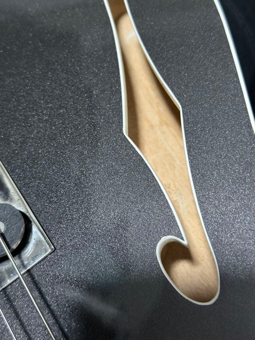 ギター Psychederhythm Hollow T-Line Limited