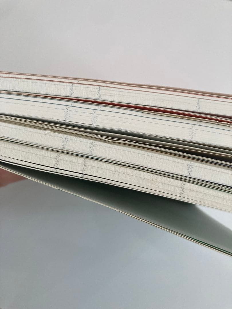 ハイレベル物理 SEG