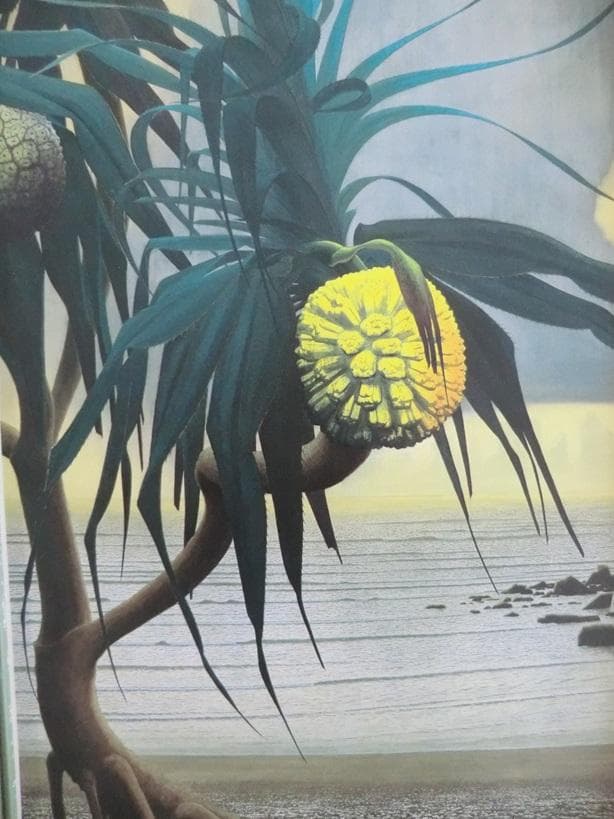 田中一村　額装印刷物　「アダンの海辺」