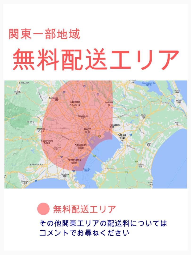2018 超人気色 ビッケ ブリヂストン子供乗せ電動アシスト自転車 ZH3107