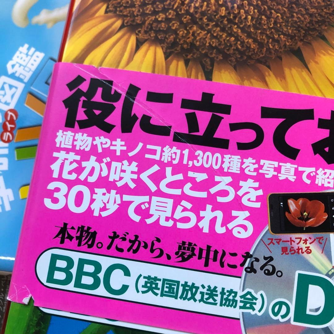 学研の図鑑ライブ LIVE　12冊 まとめ売り　全てDVD付き　ばら売り不可