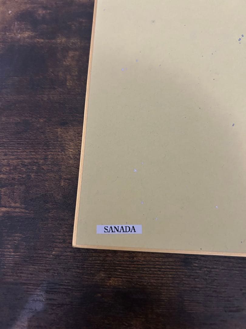 サイン色紙 新日本プロレス　10枚セット（大幅値下げしました）