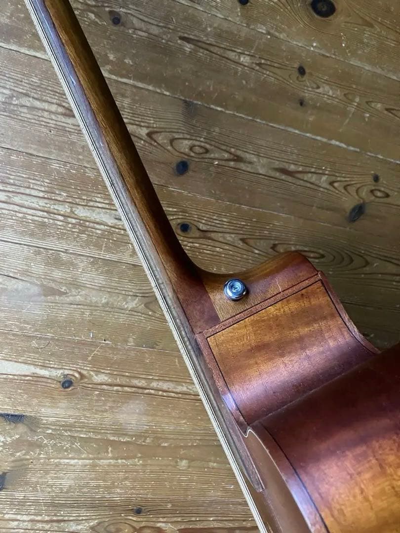 ARIA FEB-FL/FN アコースティックベース