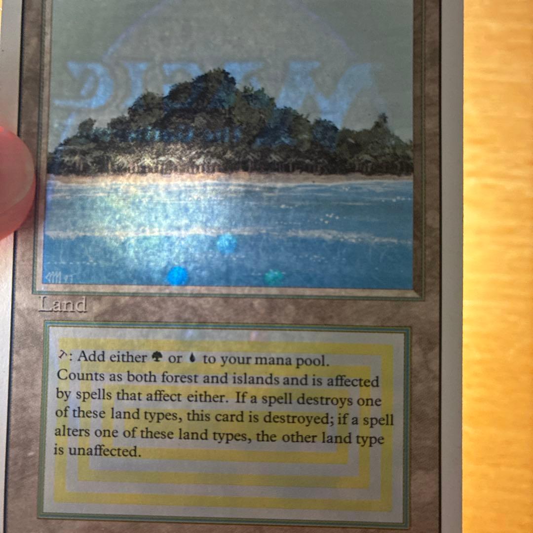 MTG Tropical  英語