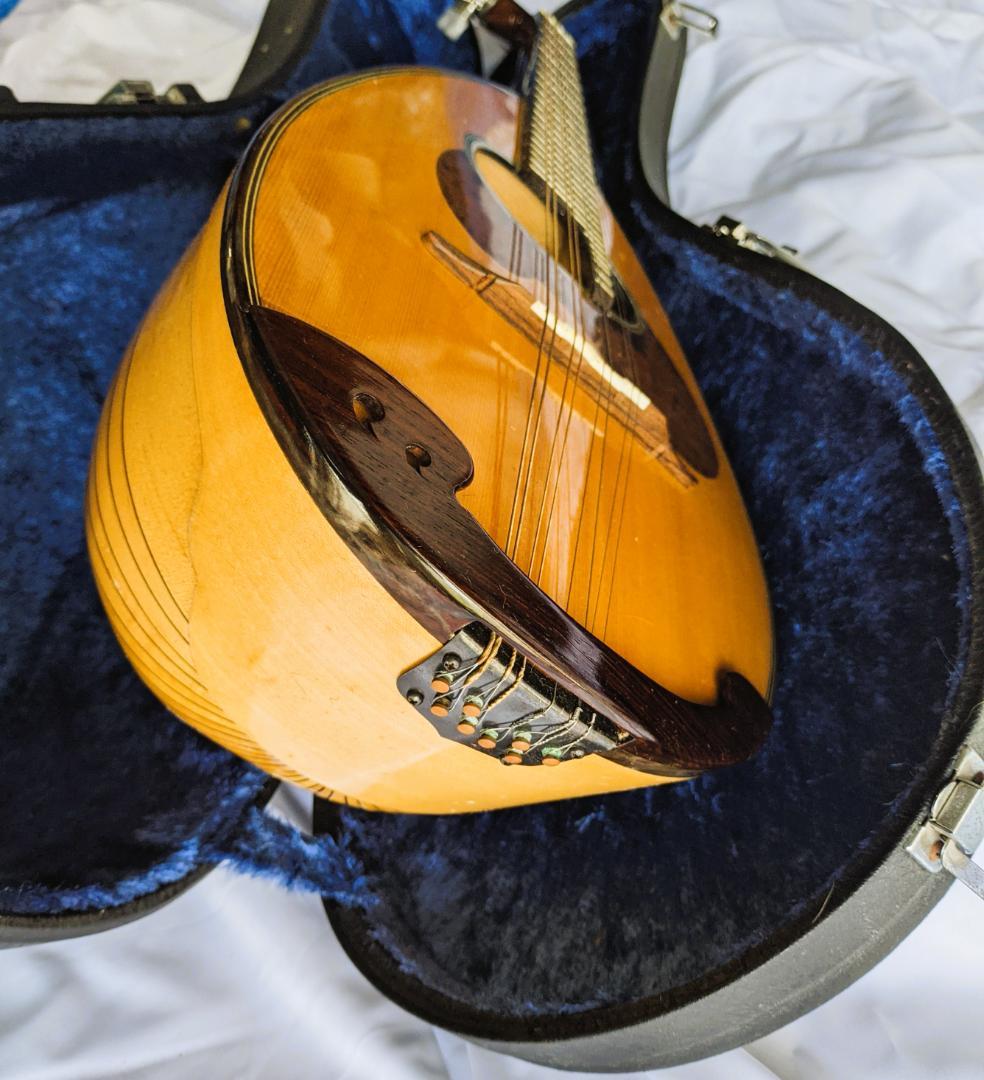✨SUZUKI M-30 木製 8弦マンドリン 本体 ＋ 専用ハードケース付き✨