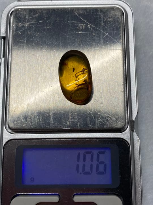 琥珀 虫入り 天然 アンバー  罕石卵  天然石  ムカデ 百足  甲虫