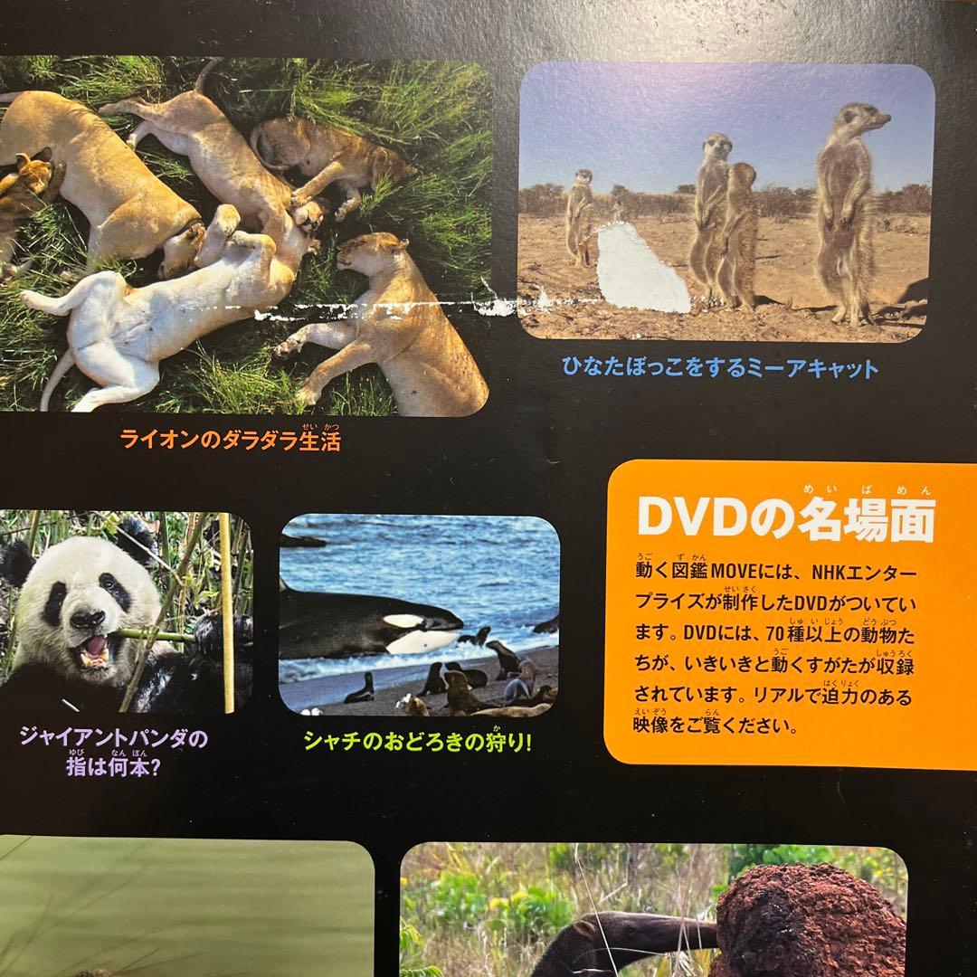 MOVEシリーズ 10冊セット DVD付き 講談社図鑑