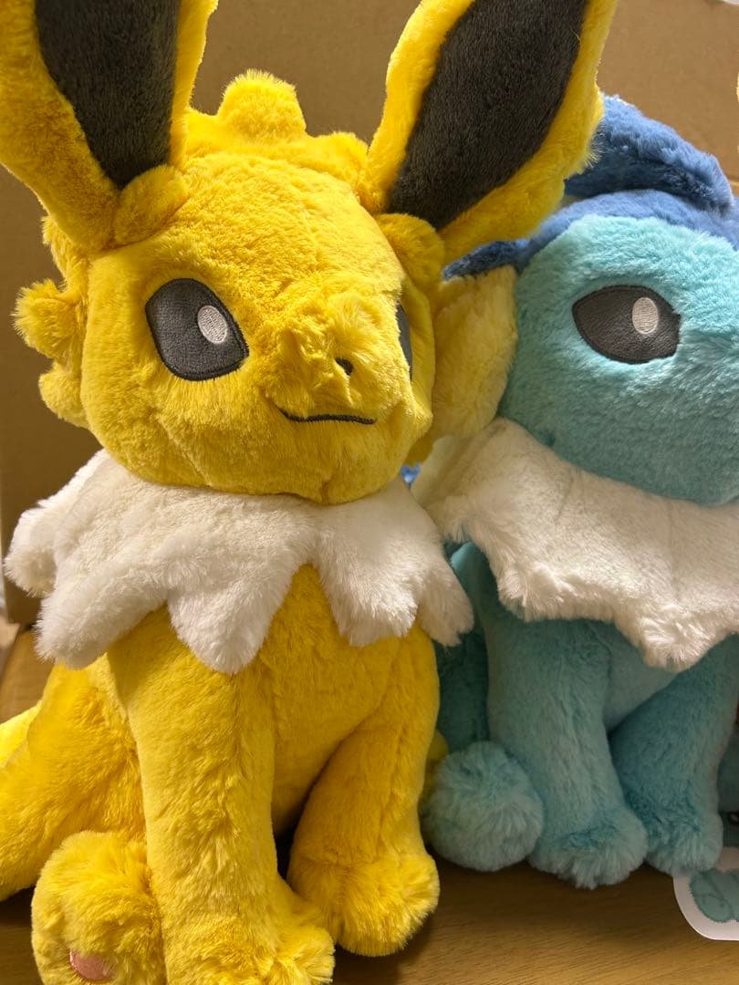 ポケモン ふわふわ抱きぬいぐるみ ブースター シャワーズ サンダース