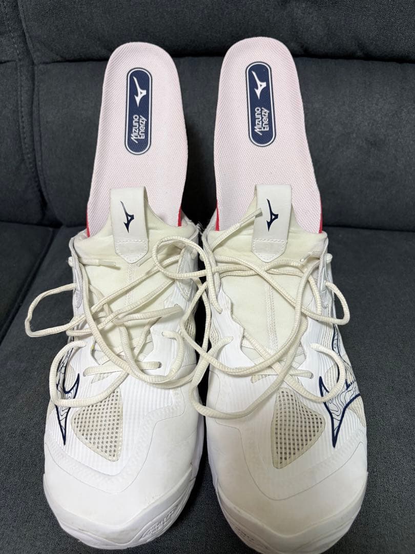 Mizuno バレーボールシューズ ウエーブモーメンタム3 28.5cm