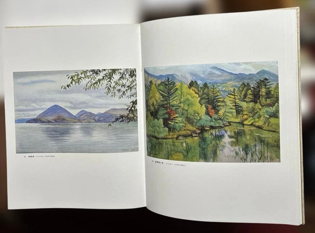 石井柏亭画集 限定3000部のうち544番 河北倫明監修 信濃毎日新聞社刊