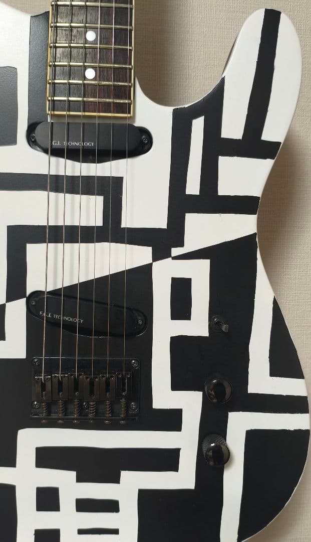 FERNANDES　TEJ-HOTEI　BLACK&WHITE　電子部品なし