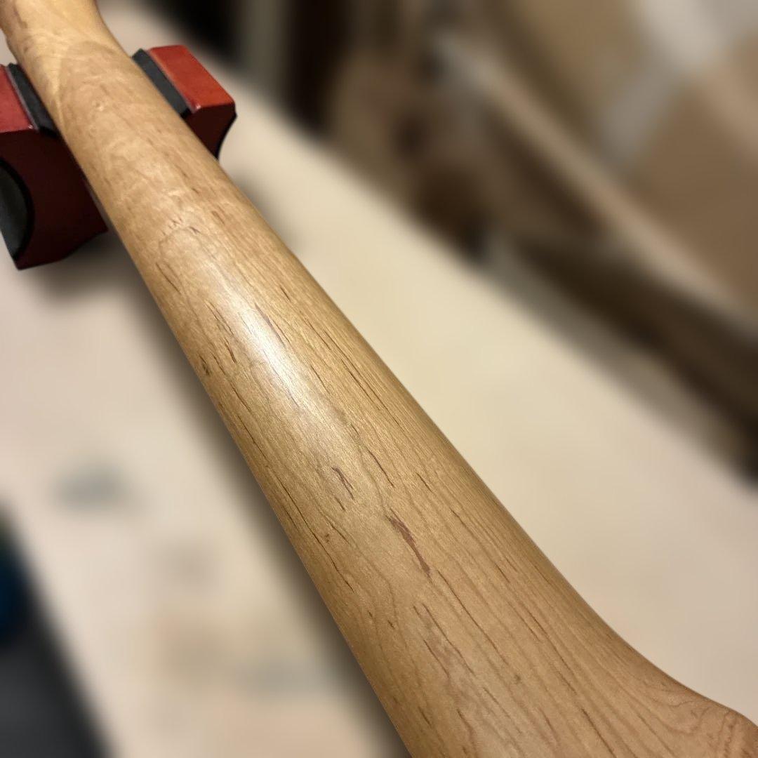 ピグノーズPGG200 黒