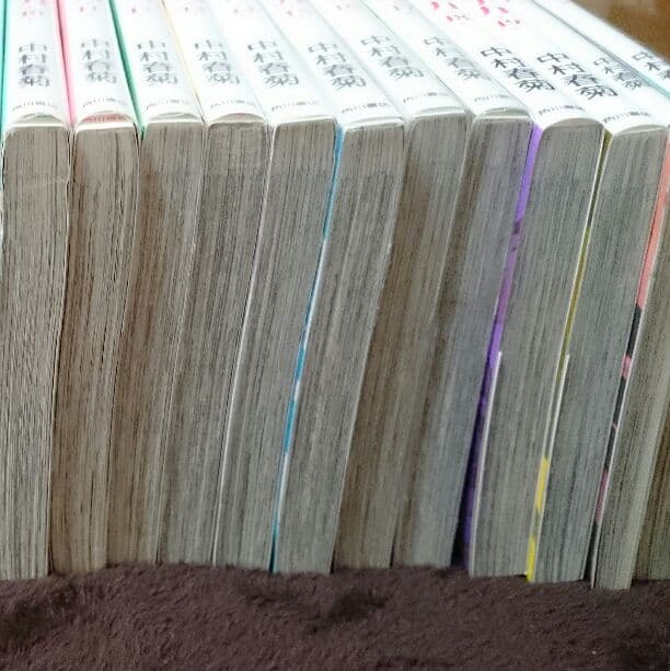 【純情ロマンチカ】中村春菊１～１８