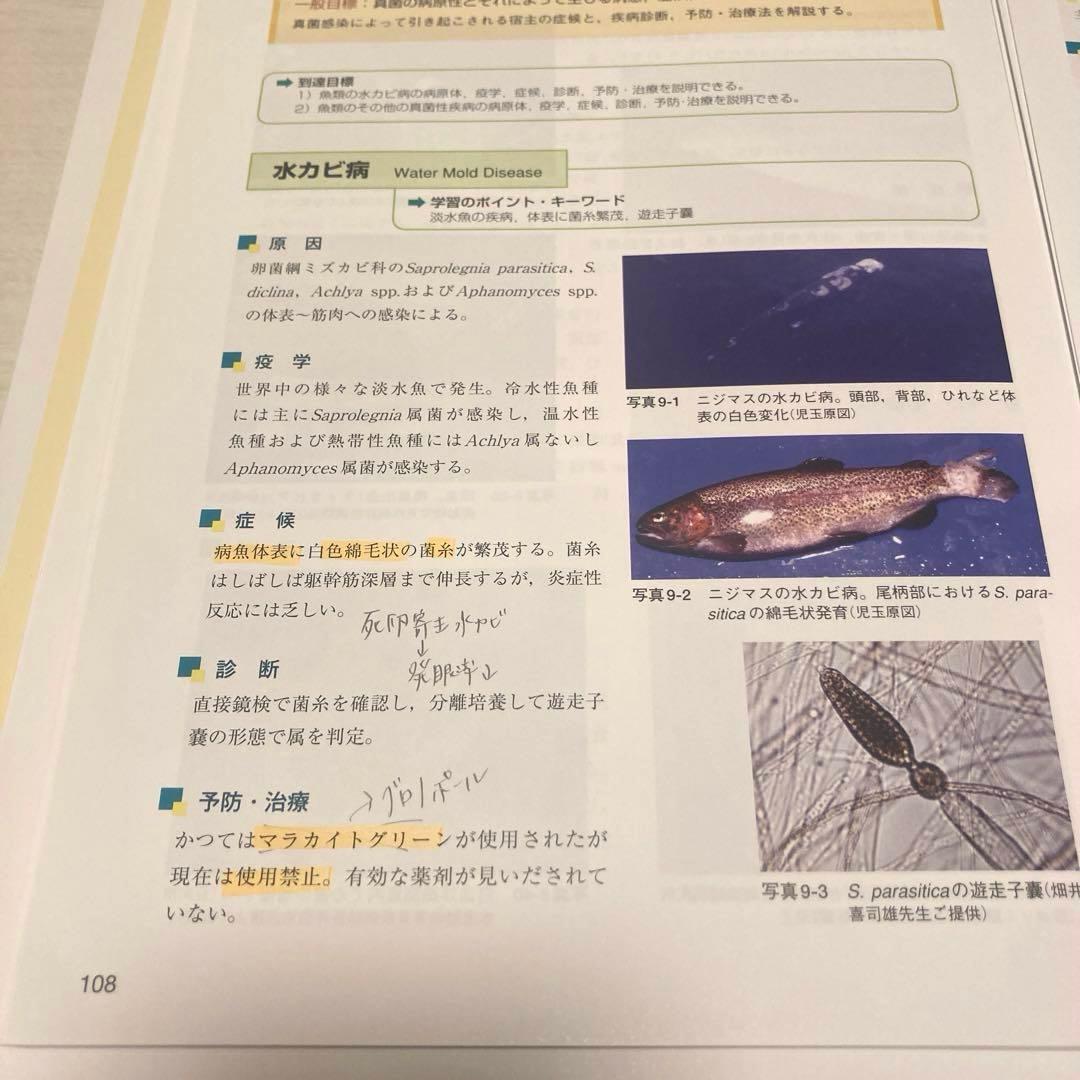 獣医学教科書裁断済み　コアカリ　まとめ売り