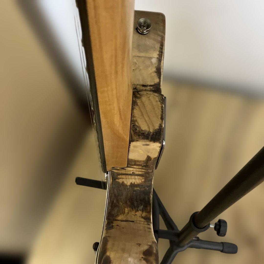 バッカス Bacchus 旧帯ロゴ BTE ユニバ テレキャス 劇鳴 訳有中古品