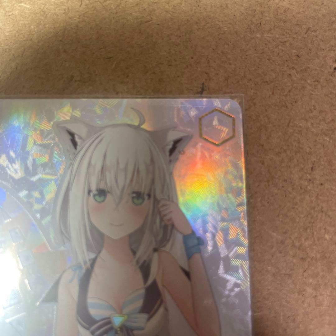 Summer Splash Party 白上フブキ