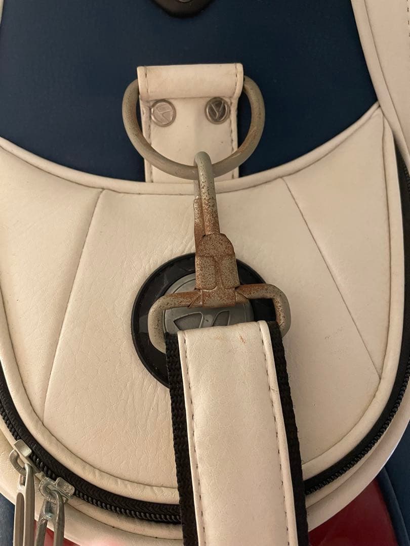 TaylorMade ゴルフバッグ 青白