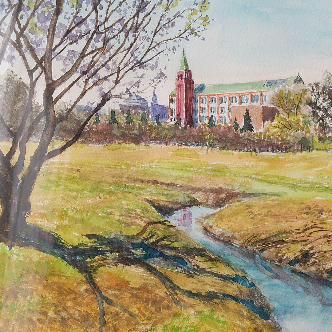 大学が見える公園