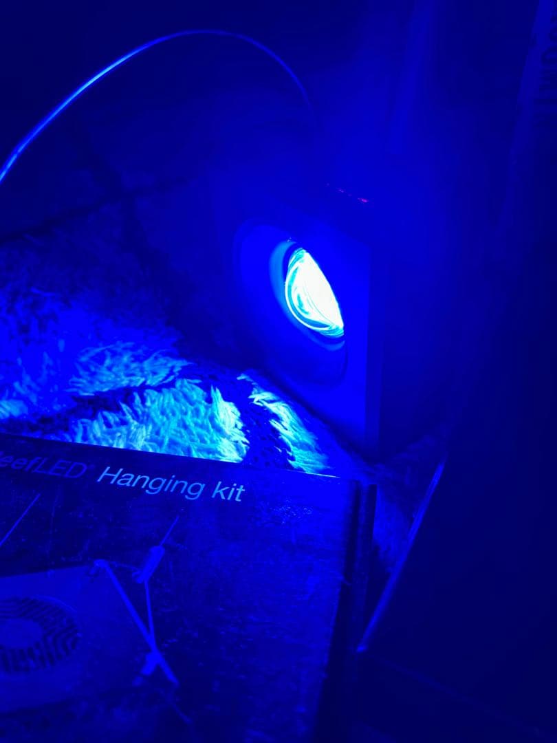 Red Sea ReefLED 50 ライト本体&アーム&ハンギングキットセット