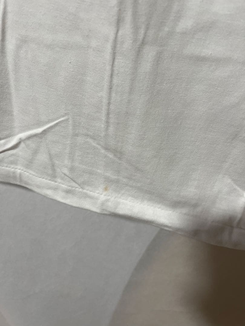 BEASTIE BOYS ヴィンテージTシャツ Lサイズ