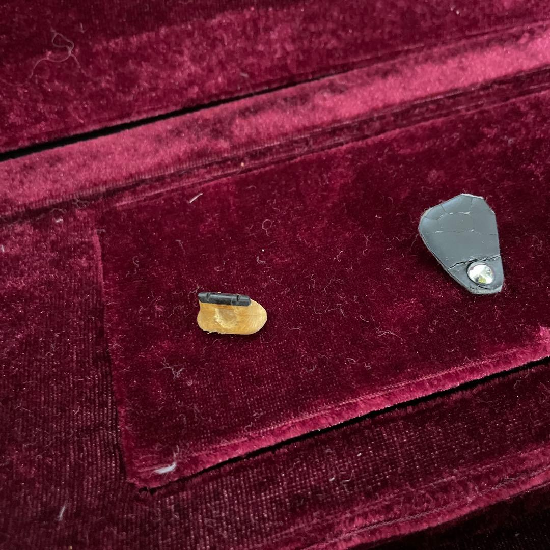 高級 二胡 張源精制 弦楽器 民族楽器 ハードケース 弓付属 和楽器 本革