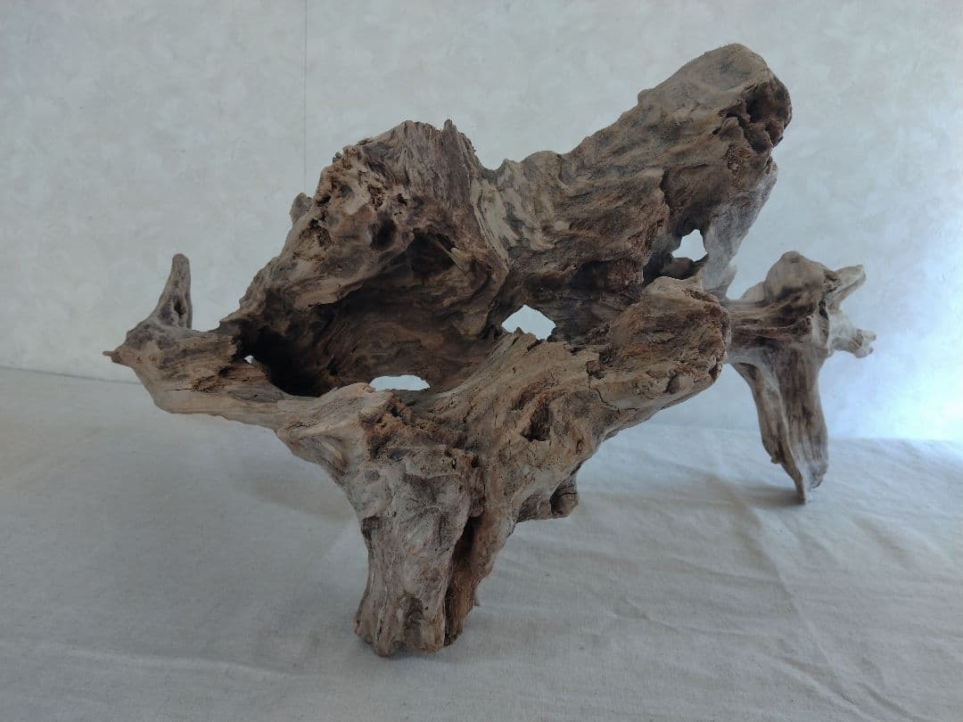 【希少】アクアリウム・ガーデニング・DIY向け 特大塊根ホーンウッド 70cm